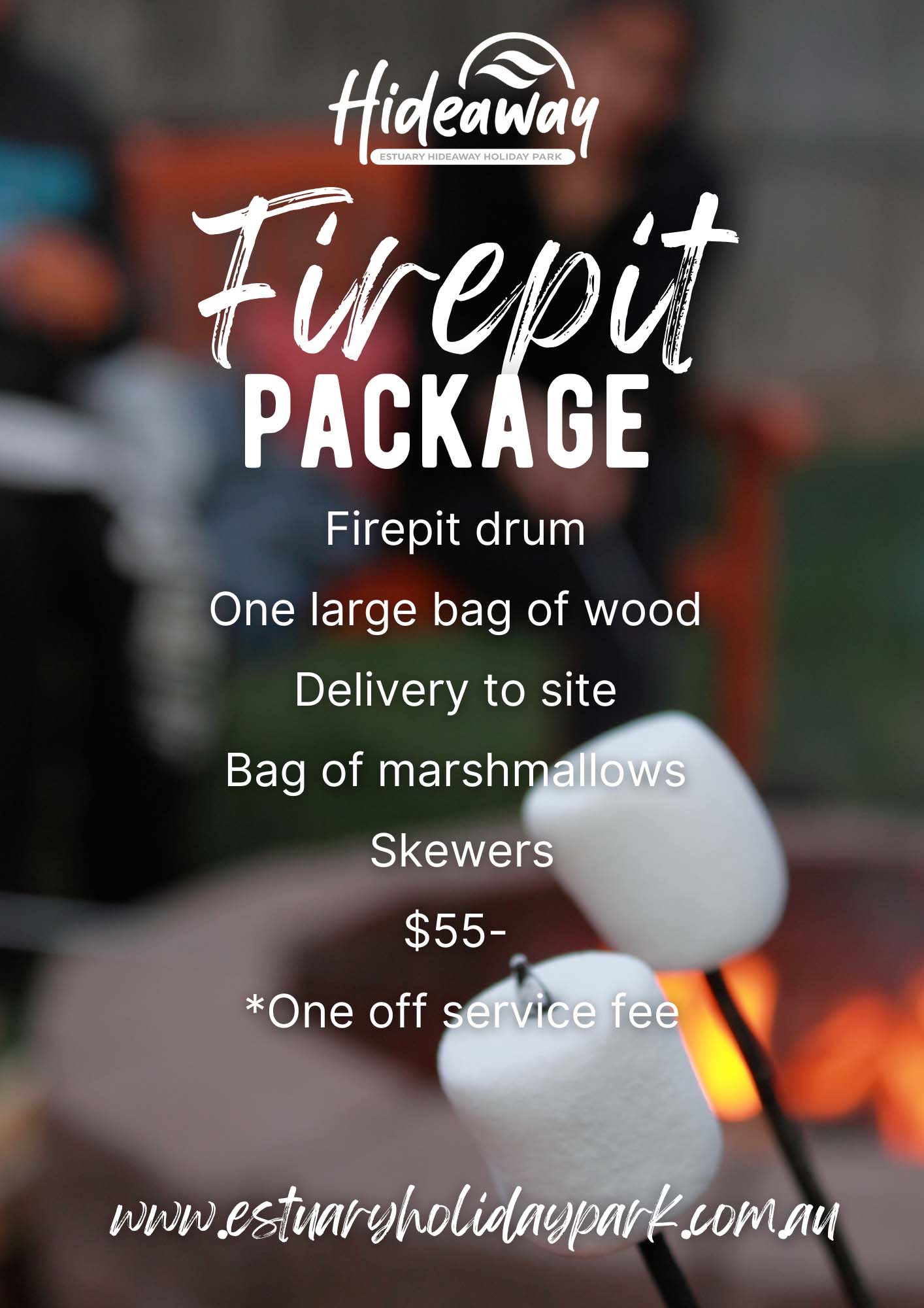 EHHP - $55 new pricing flyer